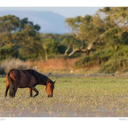 Casa Susanna Rural Sardinia Bed & Breakfast