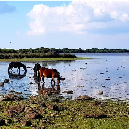 Oda ve Kahvaltı Casa Susanna Rural Sardinia