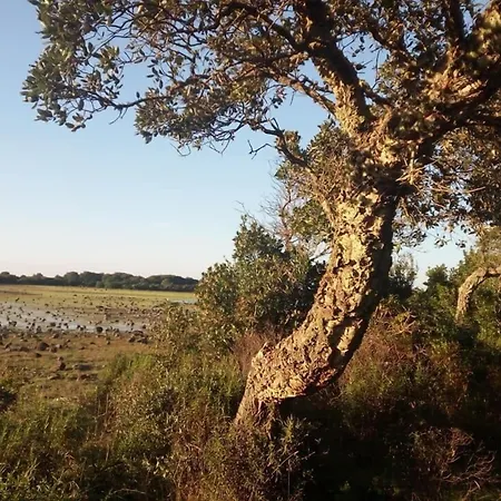 Casa Susanna Rural Sardinia Bed and breakfast